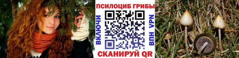 Галлюциногенные грибы Magic Shrooms  Злынка 